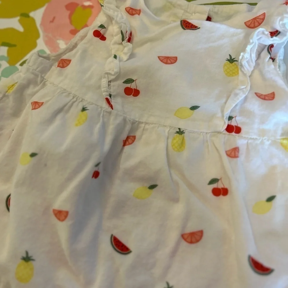Janie & jack 18-24 month fruit print dress